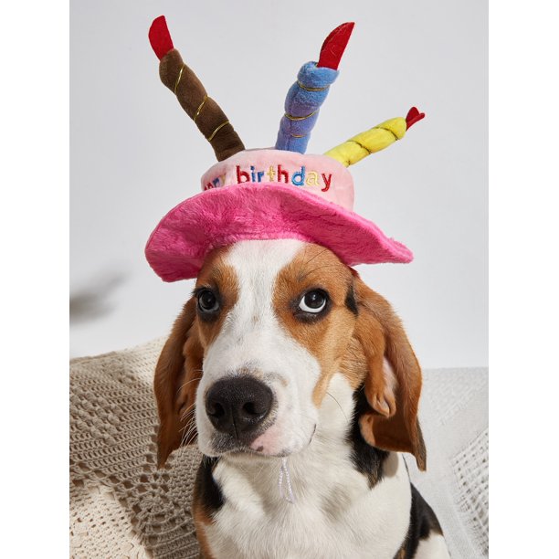 1pc Random Color Plush Pet Birthday Party Hat With Candles, Cute Gift For Cat Dog New Year Celebration