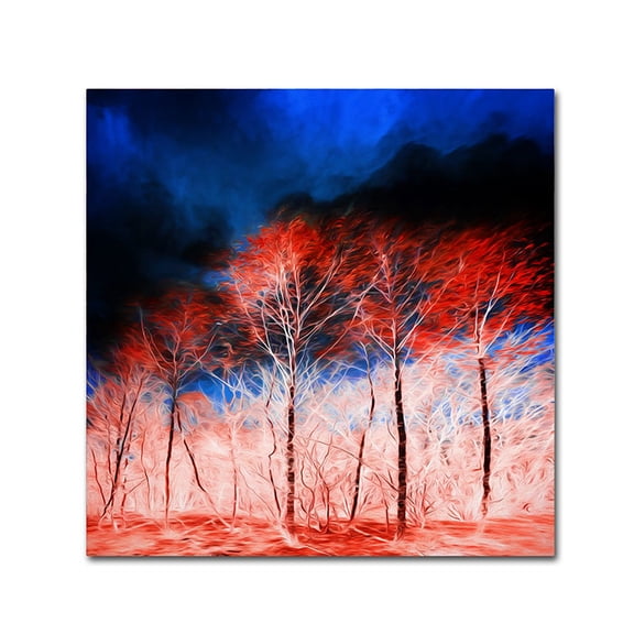 Trademark Fine Art "The Worst Is Yet To Come" Canvas Art by Philippe Sainte-Laudy