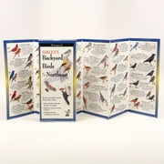 Birds Gaggle Birds Gaggle