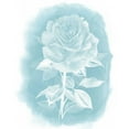 thumbnail image 3 of Popp, Grace 20x24 Black Modern Framed Museum Art Print Titled - Ghost Rose I, 3 of 5