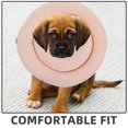 thumbnail image 3 of HLONK Soft Dog Cone Collar For Small And Medium Dogs Cats Kitten Puppy After Surgery Dog Cone Protection And Comfortable Large Pet Recovery Collar, 3 of 8