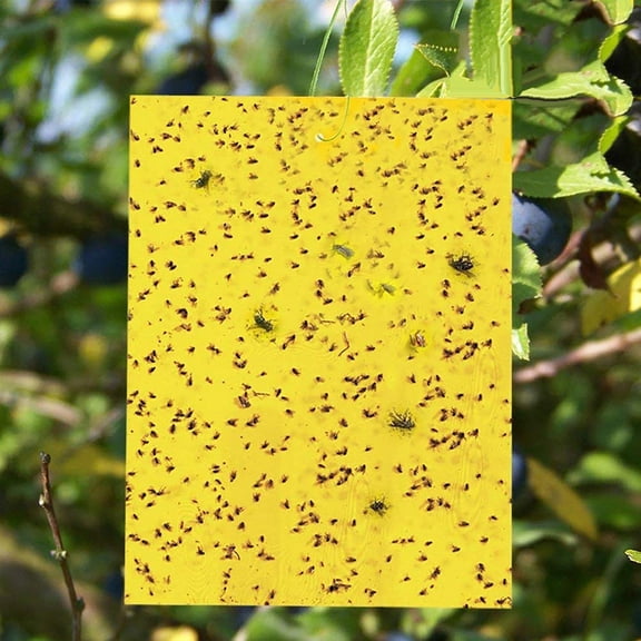 Cheers US 20Pcs/Set Yellow Sticky Traps, Fruit Fly Traps, for Indoor and Outdoor, Include Twist Ties and Plastic Holders