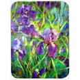 thumbnail image 1 of Carolines Treasures PJC1045LCB Iris By The Well Planche à Découper en Verre - Grand, 1 of 1