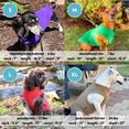 thumbnail image 4 of Gooby Fleece Vest - Navy, Small - Warm Pullover Fleece Dog Jacket with O-Ring Leash for Small Dogs, 4 of 4