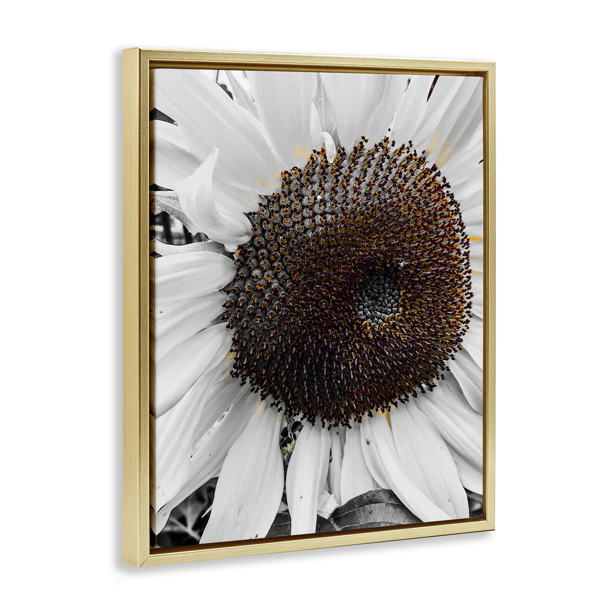 Stupell Industries Flower Pure White Petals Plants & Flowers Photography Gold Floater Framed Canvas Art Print Wall Art, 17 x 21