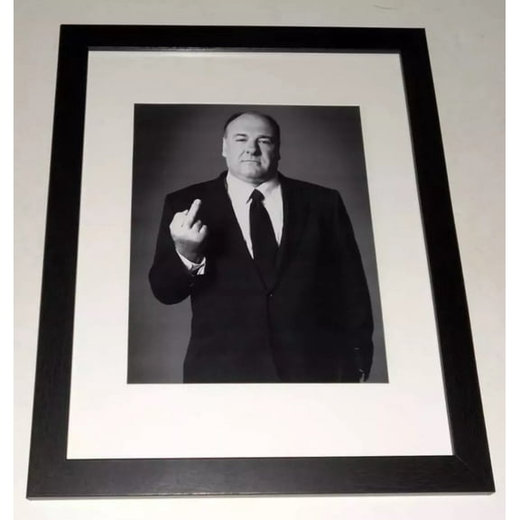 Framed James Gandolfini Tony Soprano "Flick Off" b/w 13"x16" Gangster Art