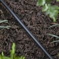 thumbnail image 4 of Raindrip 1/4 In. X 100 Ft. Black Poly Primary Drip Tubing 016010T, 4 of 4