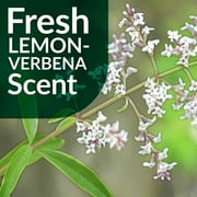 Simple Green Multi-Surface Floor Care - pH Neutral Floor Cleaner Lemon-Verbena 128 Fl Oz (Pack of 1)