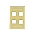 thumbnail image 1 of Hubbell - Faceplate, 1 of 1