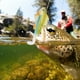 thumbnail image 4 of 3 uds cabeza gorda cebo Artificial Swimbaits Señuelos de pesca conjunto accesorios para aparejos de pesca 005, 4 of 9
