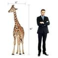 thumbnail image 2 of Life Size Cardboard Cutout Standup | Waterproof | Animals - Giraffe, 2 of 2
