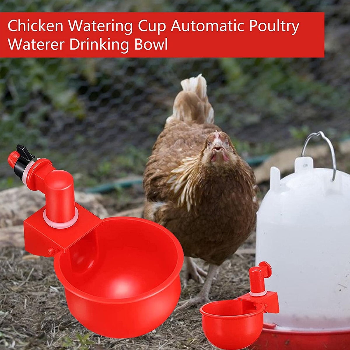 Diy Auto Chicken Waterer