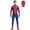 Red, variant on HTQWLP Halloween Superhero Fancy Dress Costumes, One-Piece Spider Hero Jumpsuit Costume, Spider Hero Onesie Cosplay Outfits with Masks, Halloween Party Dress up Performance Costume for Men, Black/S