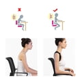 thumbnail image 5 of Ccdes Back Support Belt, Adjustable, Breathable Composite Cloth, for Adults and Kids, 5 of 7