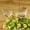 transparent_New#3778, variant on Self-Watering Plant Watering Globe Bulb, Bird-Shaped Clear Plastic Waterer for Potted Plants, Hanging Baskets and Garden Beds