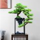 thumbnail image 5 of Plantas artificiales, árboles Bonzai de interior, bonsái Artificial grande, pino de bienvenida, simulación de planta en maceta, árbol falso decorativo, 5 of 5