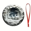 thumbnail image 5 of BETTERLIFE Cardinal Bird Ornament - Snow-Winter Scene Acrylic Christmas Tree Decoration-4PC O6P8, 5 of 8