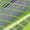 Fluorescent Green, variant on Men's Fluorescent Green Breathable Marathon Running Shoes Lightweight Shock Absorbing Reflective Athletic Sneakers