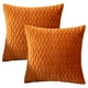thumbnail image 1 of Juego de 2 fundas de almohada decorativas de terciopelo, conjunto de textura cuadrada, funda de almohada para sofá y dormitorio, 1 of 5