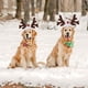 thumbnail image 5 of Correa para la cabeza con cuernos de reno para perro, gorro de Papá Noel, disfraz navideño para mascota, accesorios para tocado de perro y gato, 5 of 7