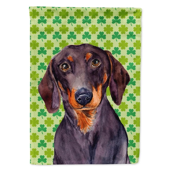 Carolines Treasures LH9178-FLAG-PARENT Dachshund St. Patricks Day Shamrock Portrait Flag multicolor