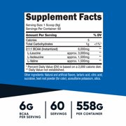 Nutricost BCAA Powder 2:1:1 (Watermelon) 60 Servings - Non-GMO Amino Acids