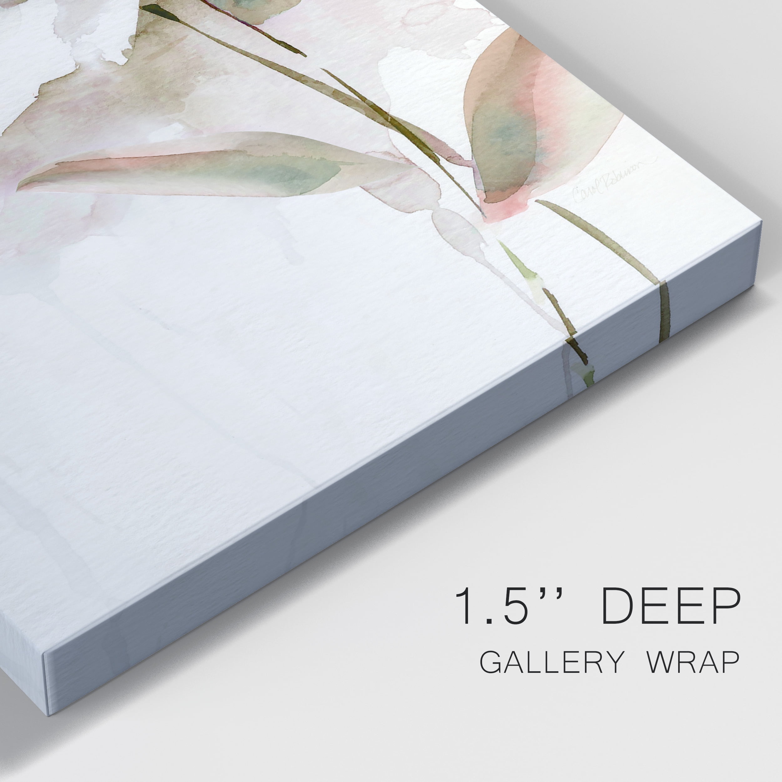 Summer Bloom II Premium Gallery Wrapped Canvas - Ready to Hang - 18 x 27