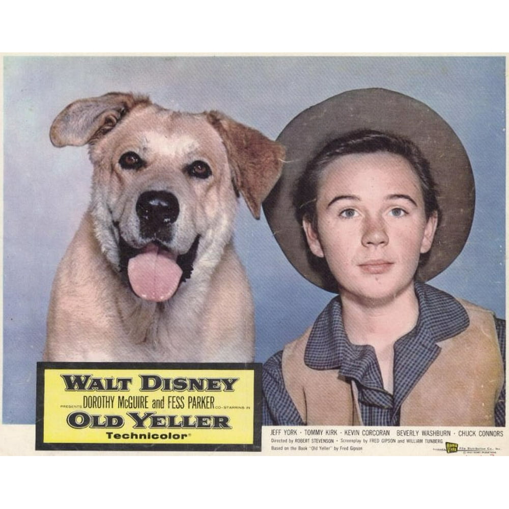 Old Yeller movie POSTER (Style E) (11" x 14") (1965)