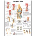 thumbnail image 1 of HD Human Anatomy Organ Pipe Canvas Art - Remastered Flannel Anime, In Stock, 14+, CE, 1 of 9