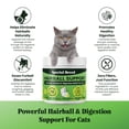 thumbnail image 5 of Hairball Support for Cats - 10 Super Ingredients for Hairball Relief, Digestive Support & Healthy Skin - No Fillers - Psyllium, Pumpkin, Omega-3s & More - 120 Scoops, 5 of 7