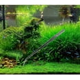 thumbnail image 3 of Kit de paisajismo acuático de acero inoxidable para acuarios, tanques, plantas acuáticas, juegos de herramientas, pinzas, tijeras, espátula (5 herramientas), 3 of 5