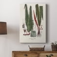 thumbnail image 5 of Botanical Society Ferns IV Premium Gallery Wrapped Canvas - Ready to Hang, 5 of 9
