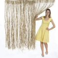 thumbnail image 2 of Natural Raffia Door Curtain - Party Decor - 1 Piece, 2 of 2