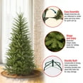 thumbnail image 5 of National Tree Company Artificial Slim Christmas Tree, Green, Dunhill Fir, Includes Stand, 4.5 Feet, 5 of 5