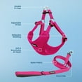thumbnail image 2 of Best Pet Supplies Voyager Step-In Flex Adjustable Mesh Dog Harness, 2 of 9