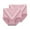Pink, variant on Bovxnpu Womens Underwear Plus Size Panties, 2PC Women's High Waisted Brief Panties, Fashion High Waisted Solid Women Underwear Waist Pants Absorbent Underwear L