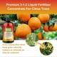 thumbnail image 2 of 100ml Citrus Tree Plant Fertilizer Increase Resistance to Room Pressure for Agricultural Accessory, 2 of 5