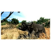 Cabelas Big Game Hunter 2010 - Nintendo Wii