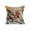 B1, variant on LIORAGLJ 17.7x17.7in Cute Animals Print Pillow Set for Bedroom Living Room Sofa Cushion Home Decoration