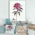 thumbnail image 2 of Designart 'Ancient Pink Rose Flower' Traditional Framed Canvas Wall Art Print, 2 of 5