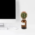 thumbnail image 3 of Planta artificial, flores artificiales, bola de cactus, planta de plástico, bola de cactus artificial, diseño exquisito Jadeshay A, 3 of 8