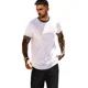 thumbnail image 5 of 2pz Camisetas Para Hombre Playera Deportivas Golf Causal Gym, 5 of 8
