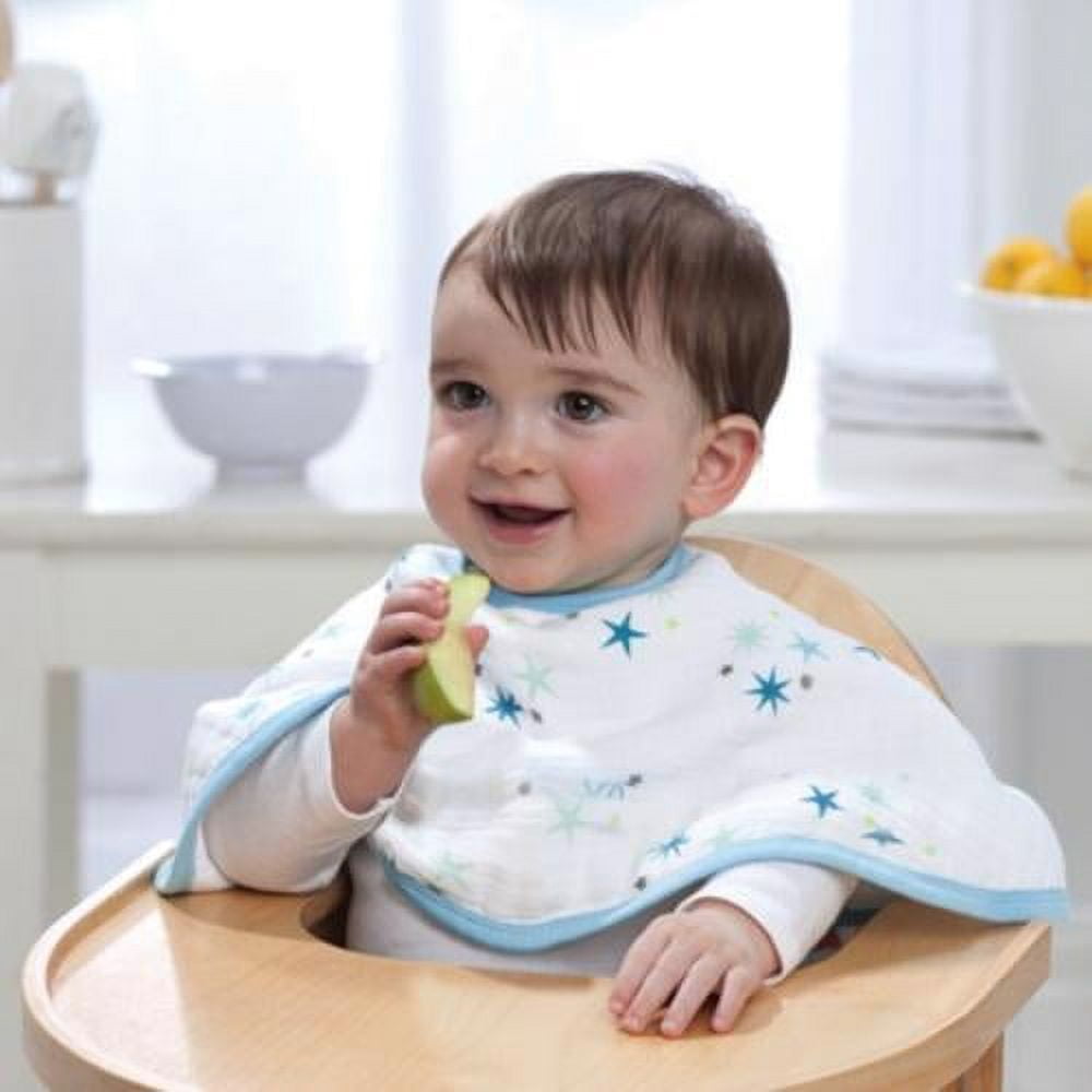 aden + anais Organic Burpy Bib (Mariposa, One Size)