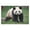 300, variant on Puzzles for Adults 300 Pieces - Adorable Giant Panda Funny Challenging Puzzle Perfect for Game Nights