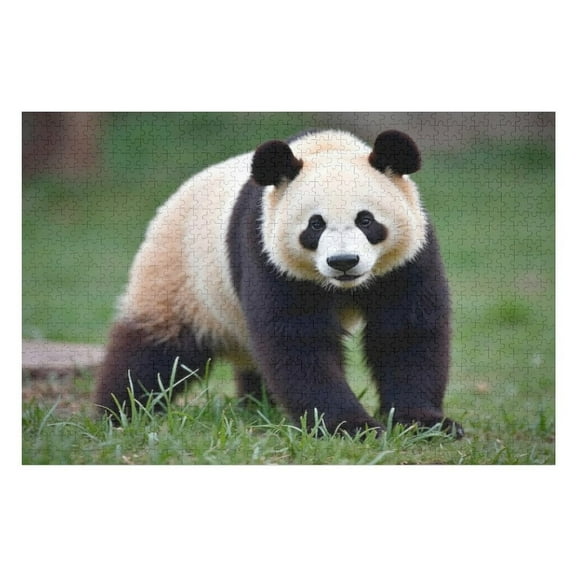 Puzzles for Adults 300 Pieces - Adorable Giant Panda Funny Challenging Puzzle Perfect for Game Nights