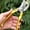 Gold, variant on Garden Pruning Shears Stainless Steel Blades Handheld Heavy Duty Hedge Plant Branch Clippers Scissors Pruners Toolsfor Branch Flower Plant Trimming Cutting Gardening Tools