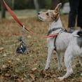 thumbnail image 1 of PENIKOKO Porte-Déchets pour Chien Élégant et Moderne Lot de 1 avec Laisse Rétractable Cerceau Randonnée, 1 of 8