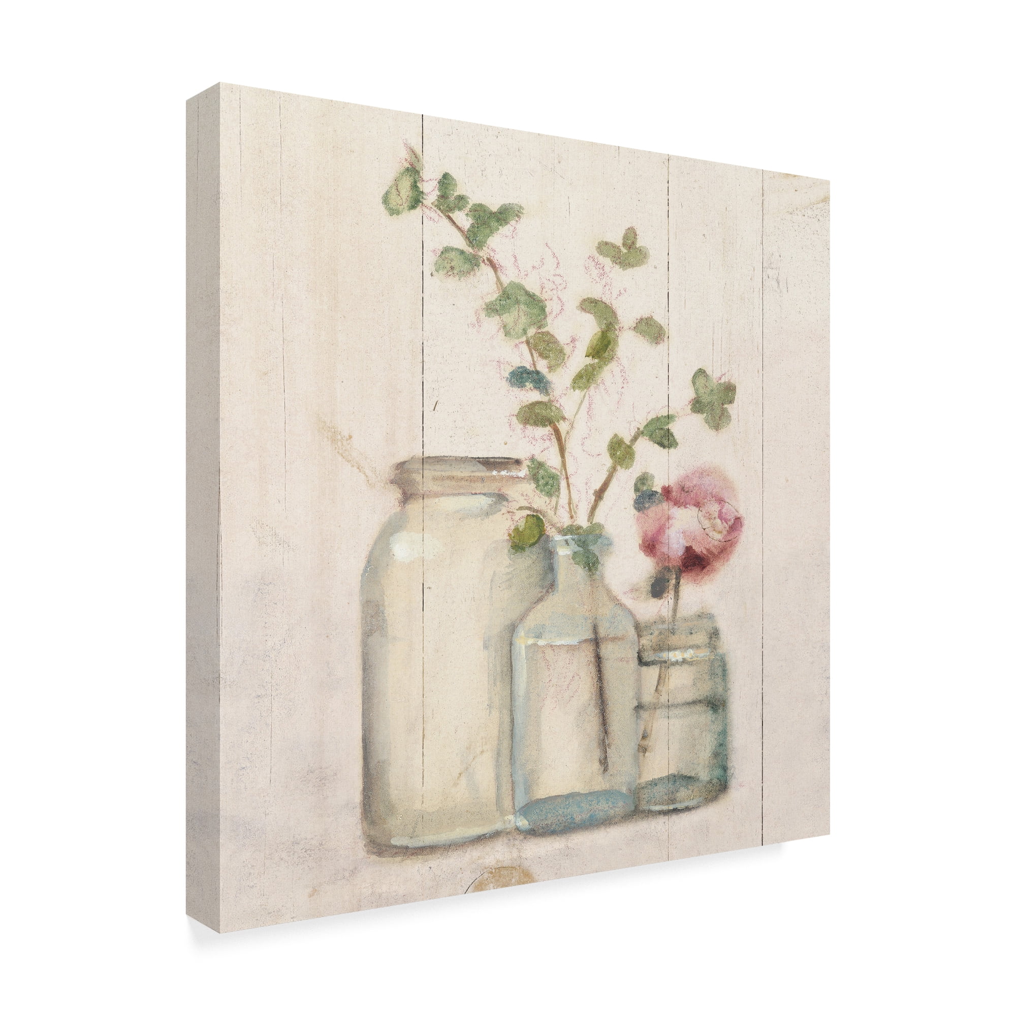 Trademark Fine Art 'Blossoms on Birch IV' Canvas Art by Cheri Blum