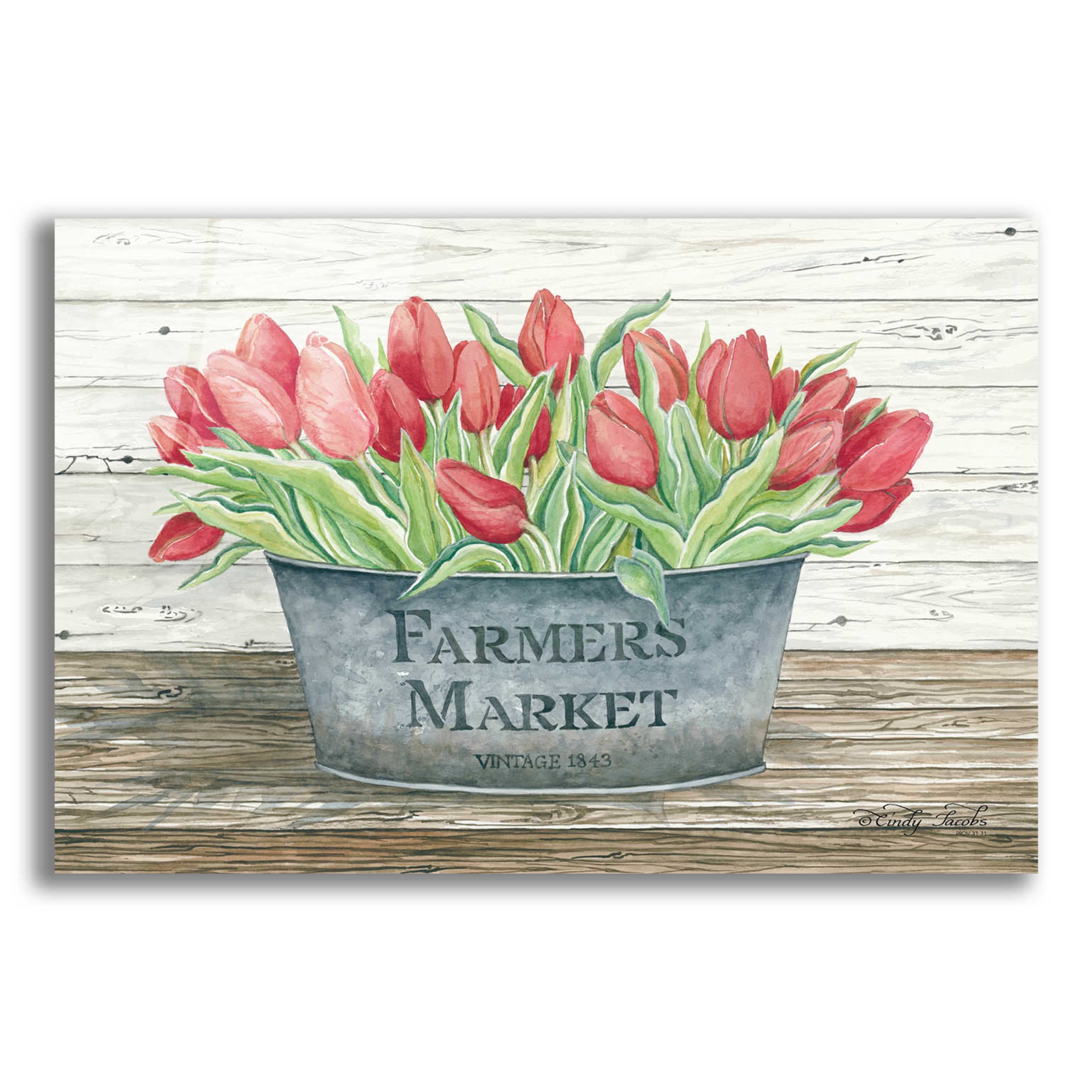 Epic Art 'Farmer's Market Tulips' by Cindy Jacobs, Acrylic Glass Wall ...