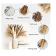 thumbnail image 3 of 120pcs Pampas Secas Plantas Decorativas Flores Artificiales Xtellar blanco, 3 of 3